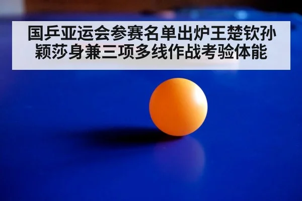 table tennis training match
